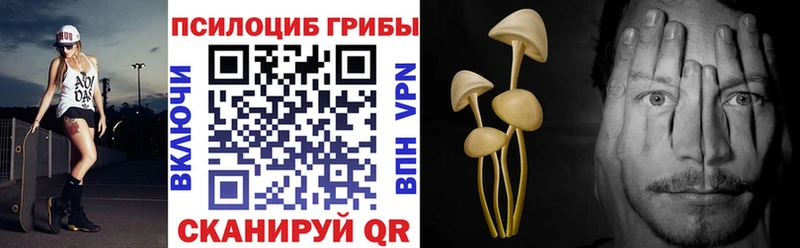 где можно купить   Холмск  Галлюциногенные грибы мухоморы 